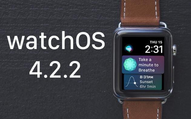 Apple Watch下载并安装watchOS 4.2.2 view - 佩戴Apple Watch能跑完马拉松全程吗