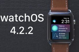 Apple Watch下载并安装watchOS 4.2.2 view 300x200 - watchOS 4.2.2 : Apple Watch如何下载并安装