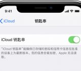 iPhone如何设置iCloud钥匙串