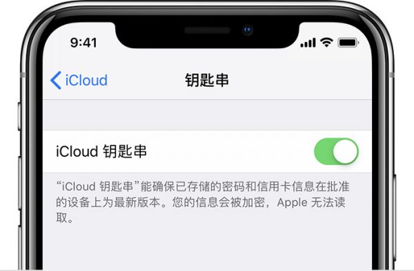 icloud e1548057670880 - iPhone如何设置iCloud钥匙串